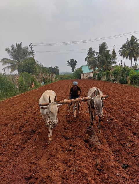 ತೋಟಗಾರಿಕೆ ಇಲಾಖೆಯಿಂದ ಅನುಷ್ಠಾನ