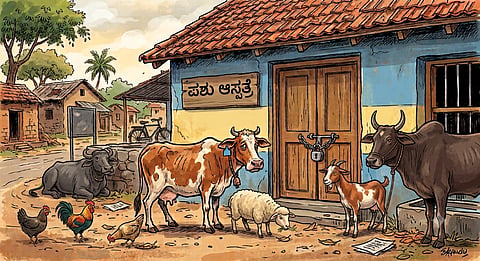 District Animal Husbandry Department: Virtually Empty!