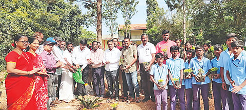 ಸಿಎಸ್‌ಐಆರ್ ರಾಷ್ಟ್ರೀಯ ಸಸ್ಯಶಾಸ್ತ್ರೀಯ ಸಂಶೋಧನಾ ಸಂಸ್ಥೆ