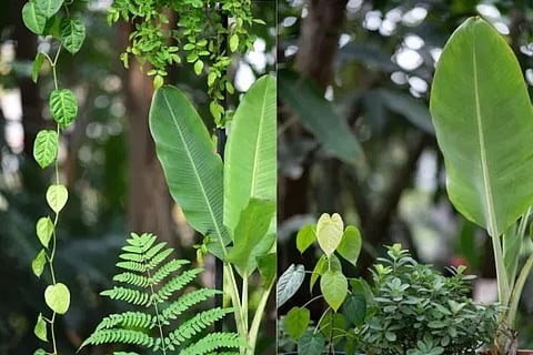  ಸಾಂದರ್ಭಿಕ ಚಿತ್ರ