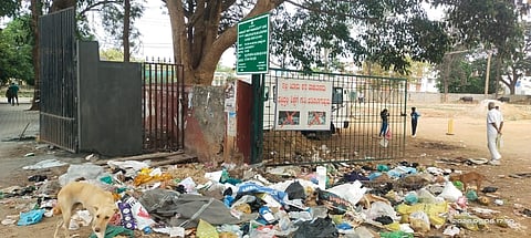 plastic problem