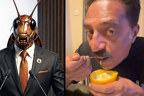 Cockroach Prakash Raj