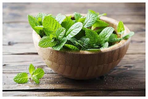 Mint leaves benefits