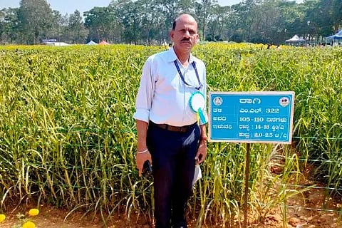 ರಾಗಿ ಎಂಎಲ್ 322 ತಳಿ
