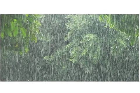 ರಾಜ್ಯದ ಹಲವೆಡೆ ವ್ಯಾಪಕ ಮಳೆ 