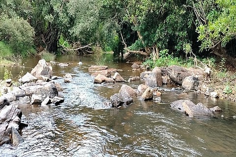  ಮಳೆ ಕೊರತೆಯಿಂದ ಕೊಡಗಿನ ನದಿಗಳಲ್ಲಿ ನೀರಿನ ಮಟ್ಟ ಮಳೆಗಾಲದಲ್ಲೂ ಹೆಚ್ಚಾಗಲಿಲ್ಲ