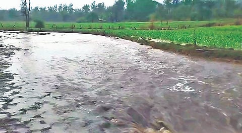 ಹಳಿಯಾಳ ತಾಲೂಕಿನ ಪಾಂಡರವಾಳ ಗ್ರಾಮದಲ್ಲಿ ಮಳೆಗೆ rain ಗ್ರಾಮದ ಕೆರೆ ತುಂಬಿ ಹರಿಯುತ್ತಿರುವುದು.
