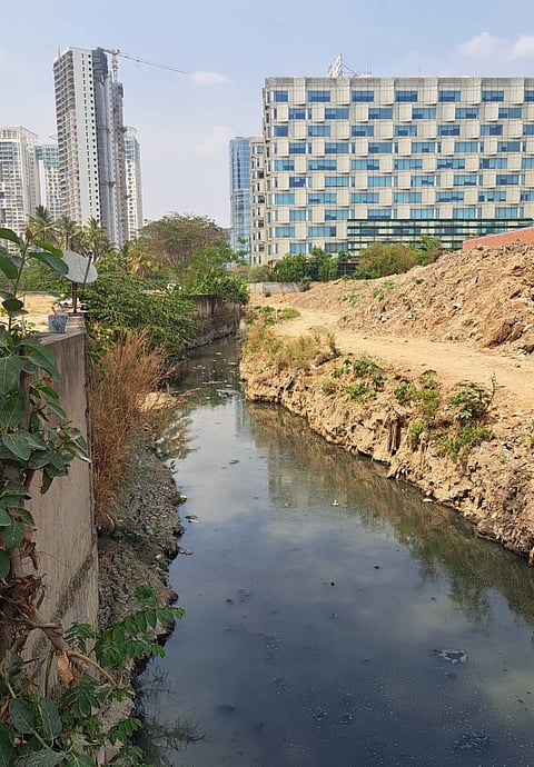 rajakaluve