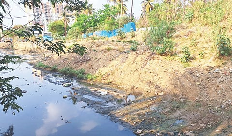 silt in rajakaluves