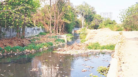 swd development project
