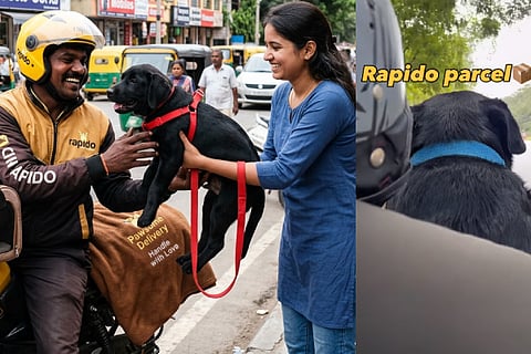 Rapido dog delivery video