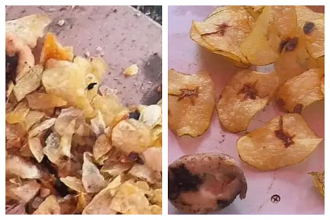 Rotten Potatoes Chips in Devanahalli