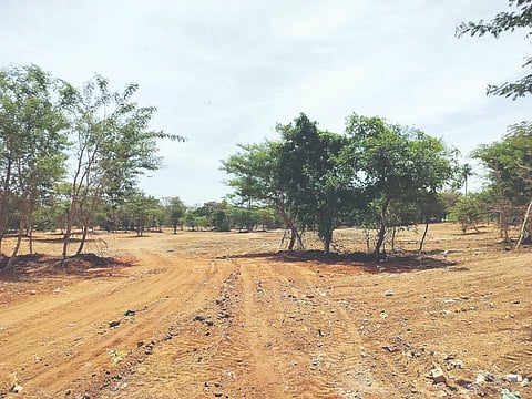  ಮೈಸೂರು ನಗರದ ಸಾತಗಳ್ಳಿಯಲ್ಲಿ ಕಂಬಳ ನಡೆಸಲು ಗುರುತಿಸಿದ ಜಾಗ ಸಮತಟ್ಟುಗೊಳಿಸುವ ಕಾರ್ಯ ಪೂರ್ಣಗೊಳಿಸಲಾಗಿದೆ.