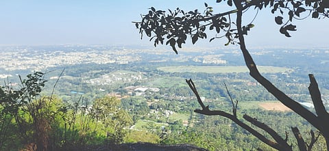 ಮೈಸೂರಿನ ವಿಹಂಗಮ ನೋಟ