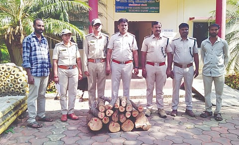 ಮುಂಡಗೋಡ ತಾಲೂಕಿನ ಅಗಡಿ ಗ್ರಾಮದ ಮನೆಯಲ್ಲಿ ಪತ್ತೆಯಾದ ಶ್ರೀಗಂಧ ( sandalwood) ತುಂಡಗಳನ್ನು ಅರಣ್ಯ ಇಲಾಖೆ ಅಧಿಕಾರಿಗಳು ವಶಪಡಿಸಿಕೊಂಡಿದ್ದಾರೆ.