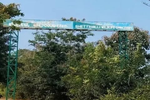 ಶೆಟ್ಟಿಹಳ್ಳಿ ವನ್ಯಜೀವಿ ಅಭಯಾರಣ್ಯ 