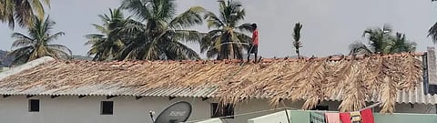 ಕೋಲಾರ ಜಿಲ್ಲೆಯ ಹಳ್ಳಿಯೊಂದರಲ್ಲಿ ರೇಷ್ಮೆ ಹುಳು ಸಾಕಣೆ ಮನೆ ಮೇಲೆ ತೆಂಗಿನ ಗರಿ ಹೊದಿಸಿರುವುದು.