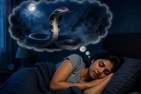 Snake In Dreams ಸಾಂದರ್ಭಿಕ ಚಿತ್ರ