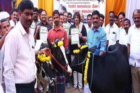 ಸೊರಬ ತಾಲೂಕಿನ ಗಿಣಿವಾಲ ಗ್ರಾಮದಲ್ಲಿ ಹಮ್ಮಿಕೊಂಡಿದ್ದ ಕಾಲುಬಾಯಿ ರೋಗ ಲಸಿಕಾ ಅಭಿಯಾನಕ್ಕೆ ಸಚಿವ ಮಧು ಬಂಗಾರಪ್ಪ  ಚಾಲನೆ ನೀಡಿದರು. ಆರ್.ಪ್ರಸನ್ನಕುಮಾರ್, ಕೆ.ಪಿ.ರುದ್ರಗೌಡ, ಜಿ.ಡಿ.ಮಂಜುನಾಥ್, ರುದ್ರಗೌಡ ಪಾಟೀಲ್ ಇತರರಿದ್ದರು.