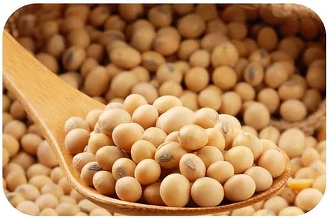 ಸೋಯಾಬಿನ್