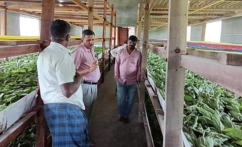  ರೇಷ್ಮೆ