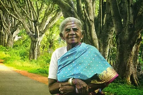 ಸಾಲು ಮರದ ತಿಮ್ಮಕ್ಕ 