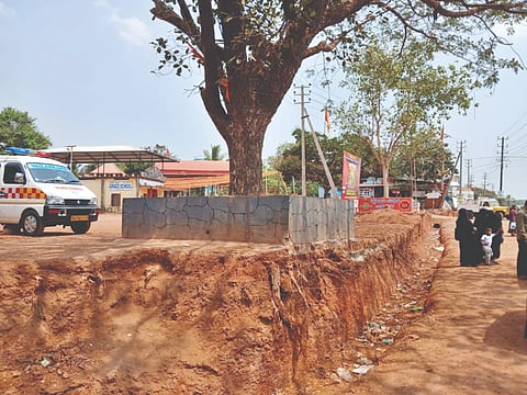  ಅಸೈಗೋಳಿಯಲ್ಲಿ ರಸ್ತೆ ಅಗಲೀಕರಣದಿಂದ ಮರದ ಬೇರುಗಳು ಮಣ್ಣಿನಿಂದ ಮೇಲ್ಭಾಗಕ್ಕೆ ಬಂದು ಅಪಾಯದಲ್ಲಿರುವುದು.