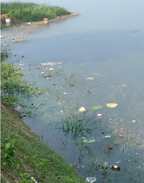 ಹಿನ್ನೀರಿನಲ್ಲಿ ಶೇಖರಣೆಗೊಂಡಿರುವ ತ್ಯಾಜ್ಯ.