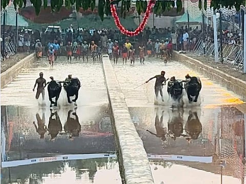ಕಂಬಳ 