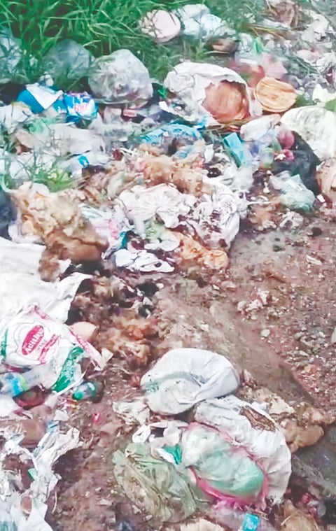  ಉಪ್ಪಿನಂಗಡಿ ಪೇಟೆಯ ಅಲ್ಲಲ್ಲಿ ಕಾಣಿಸುವ ಕಸದ ರಾಶಿ.
