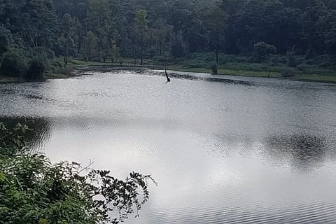 Vaddaramadu lake gate dilapidated