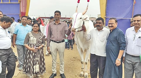 ವಿಜಯಪುರ ನಗರ ಹೊರವಲಯದ ತೊರವಿಯಲ್ಲಿ ನಡೆಯುತ್ತಿರುವ ಜಾನುವಾರ ಜಾತ್ರಾ ಸ್ಥಳಕ್ಕೆ ಜಿಲ್ಲಾಽಕಾರಿ ಡಾ. ಆನಂದ ಕೆ. ಭೇಟಿ ನೀಡಿ ಪರಿಶೀಲಿಸಿದರು. ಅಽಕಾರಿಗಳಾದ ಅಲ್ಲಾಭಕ್ಷ ಬಿಜಾಪುರ, ಅಶೋಕ ಗೋಣಸಗಿ ಇದ್ದಾರೆ.