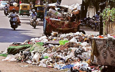 collect-waste