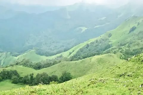 ಪಶ್ಚಿಮಘಟ್ಟ ಪ್ರದೇಶದ ಸಂಗ್ರಹ ಚಿತ್ರ.