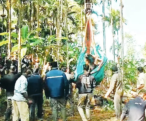 ಸಿದ್ದಾಪುರ ತಾಲೂಕಿನ ಹಕ್ಲಮನೆಯಲ್ಲಿ ಕಾಲು ಮುರಿದುಕೊಂಡು ಬಿದ್ದಿದ್ದ ಕಾಡಿಕೋಣವನ್ನು (bison) ಕ್ರೇನ್ ಮೂಲಕ ಮೇಲಕ್ಕೆತ್ತಲಾಯಿತು.
