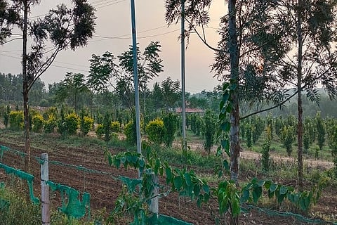 ಬೇಡಿಕೆಗೆ ಅನುಗುಣವಾಗಿ ನಿಯಮಾನುಸಾರ ಭೂ ಲಭ್ಯತೆ ಇಲ್ಲದೇ ಇರುವ ಕಾರಣ ನೀಡಿ ಭೂ ಮಂಜೂರಾತಿ ಕೋರಿ ಸಲ್ಲಿಸಿರುವ ಮಾಜಿ ಸೈನಿಕರ ಅರ್ಜಿಗಳನ್ನು ಸರ್ಕಾರ ಬಾಕಿ ಉಳಿಸಿಕೊಂಡಿದೆ. (ಸಾಂದರ್ಭಿಕ ಚಿತ್ರ)