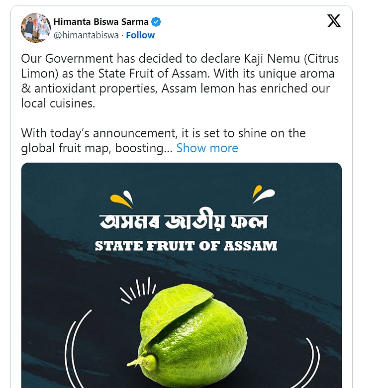 Kaji Nemu: Assam Declares 'Kaji Nemu' Lemon As 'State Fruit'