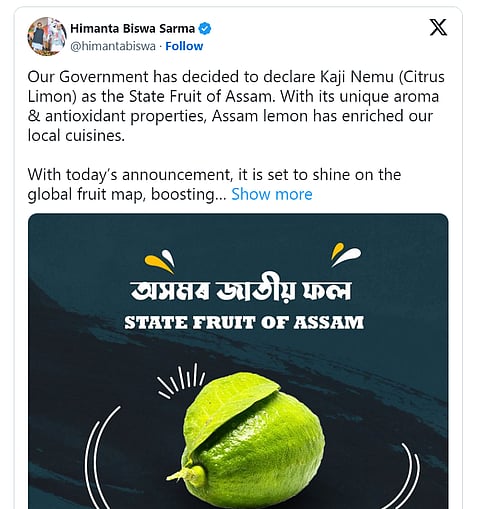 Kaji Nemu: Assam Declares 'Kaji Nemu' Lemon As 'State Fruit'