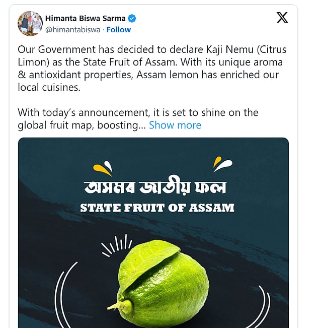 Kaji Nemu: Assam Declares 'Kaji Nemu' Lemon As 'State Fruit'