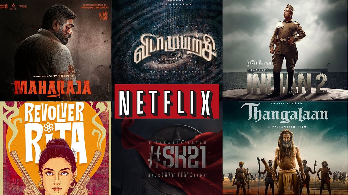 Streaming Sensations: Netflix's 2024 Acquisitions Unveiled | Explore in ...