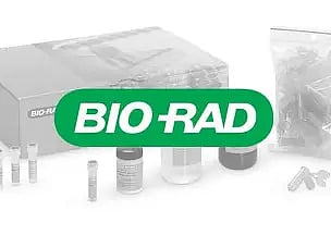 Bio-Rad Appoints Rajat Mehta as Executive Vice President of Global Commercial Operations