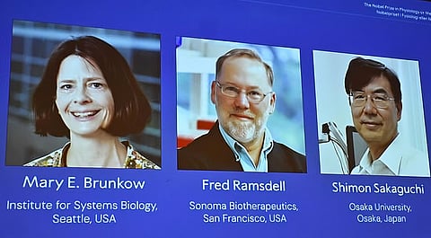 2025 Nobel Prize in Medicine
