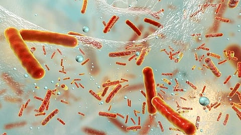 One in Six Bacterial Infections Now Resistant to Antibiotics: WHO’s Global Surveillance Report Warns of Escalating Threat