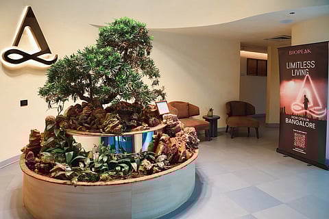 Austria’s Modern Mayr Medicine 