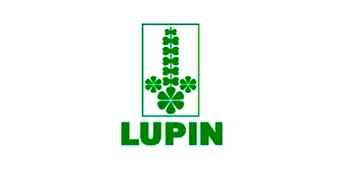 Lupin