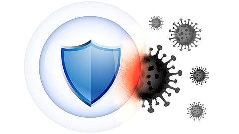 Researchers Warn Viruses On Plastics May Drive Antibiotic Resistance