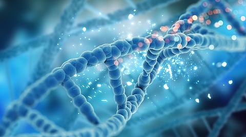 Abu Dhabi Delivers First Gene Therapy Treatment For Inherited Blood Disorders