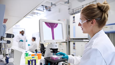 Bayer, Soufflé Partner To Develop Cell-Specific Heart-Targeted siRNA Therapy