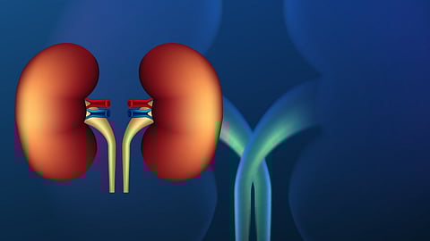 India’s First Chronic Kidney Disease Registry To Be Set Up In Odisha