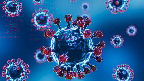 Union Health Ministry Confirms Only Two Nipah Cases In West Bengal, Refutes Inflated Figures